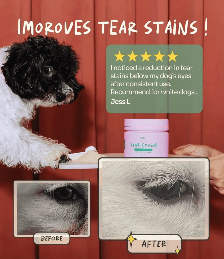 Notti But I Have Tear Stains