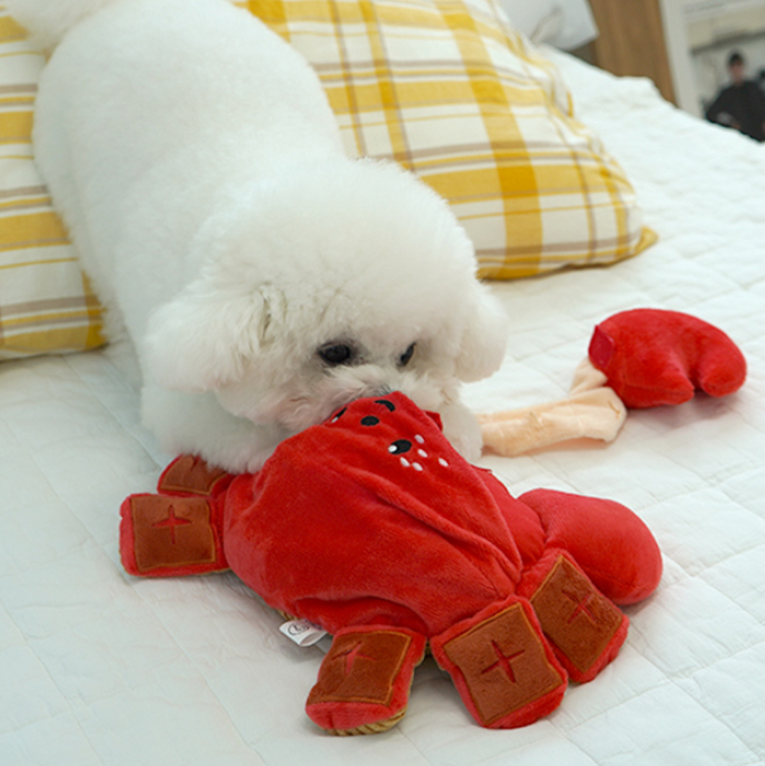 Petbeo Dog Nosework Toy Giant Crab