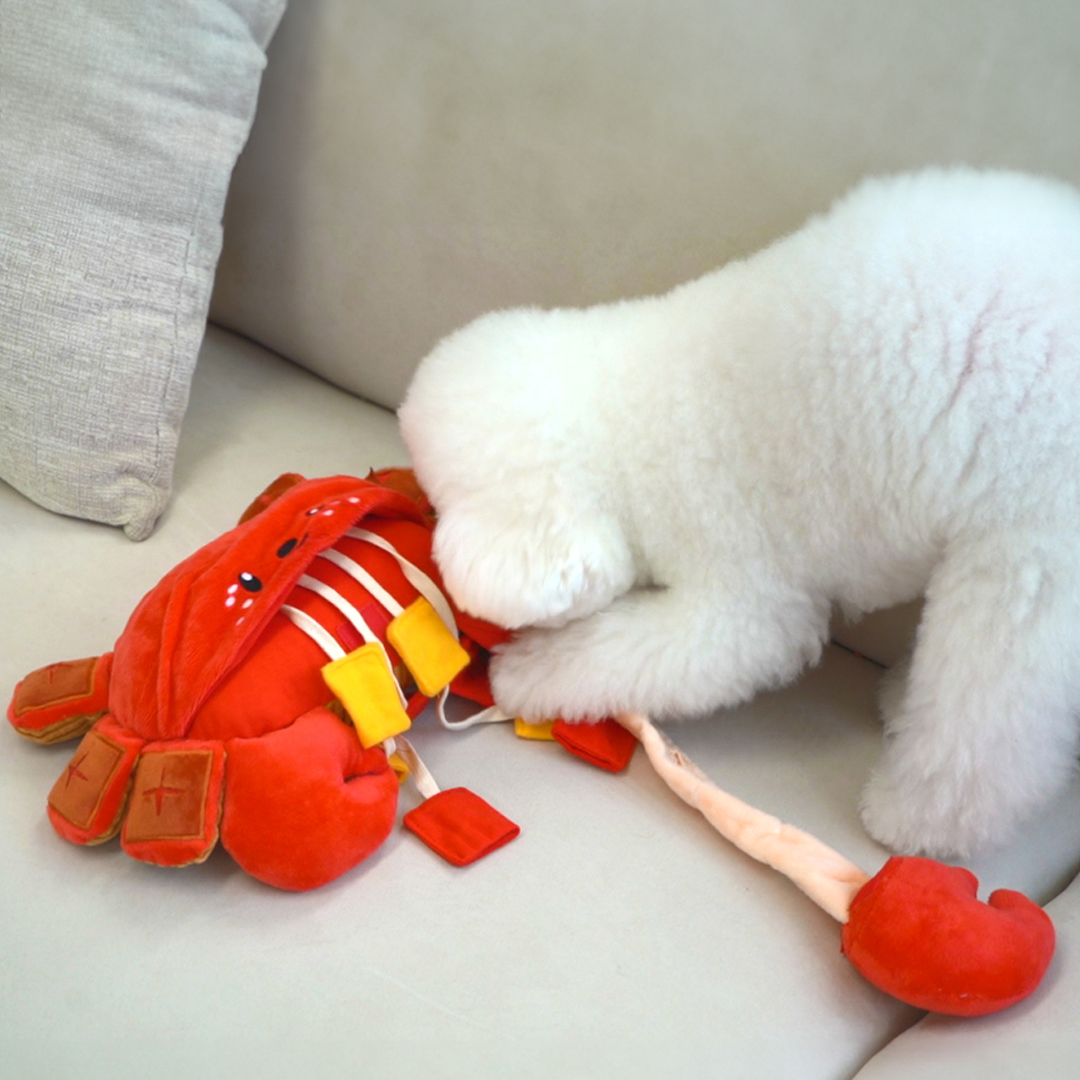 Petbeo Dog Nosework Toy Giant Crab