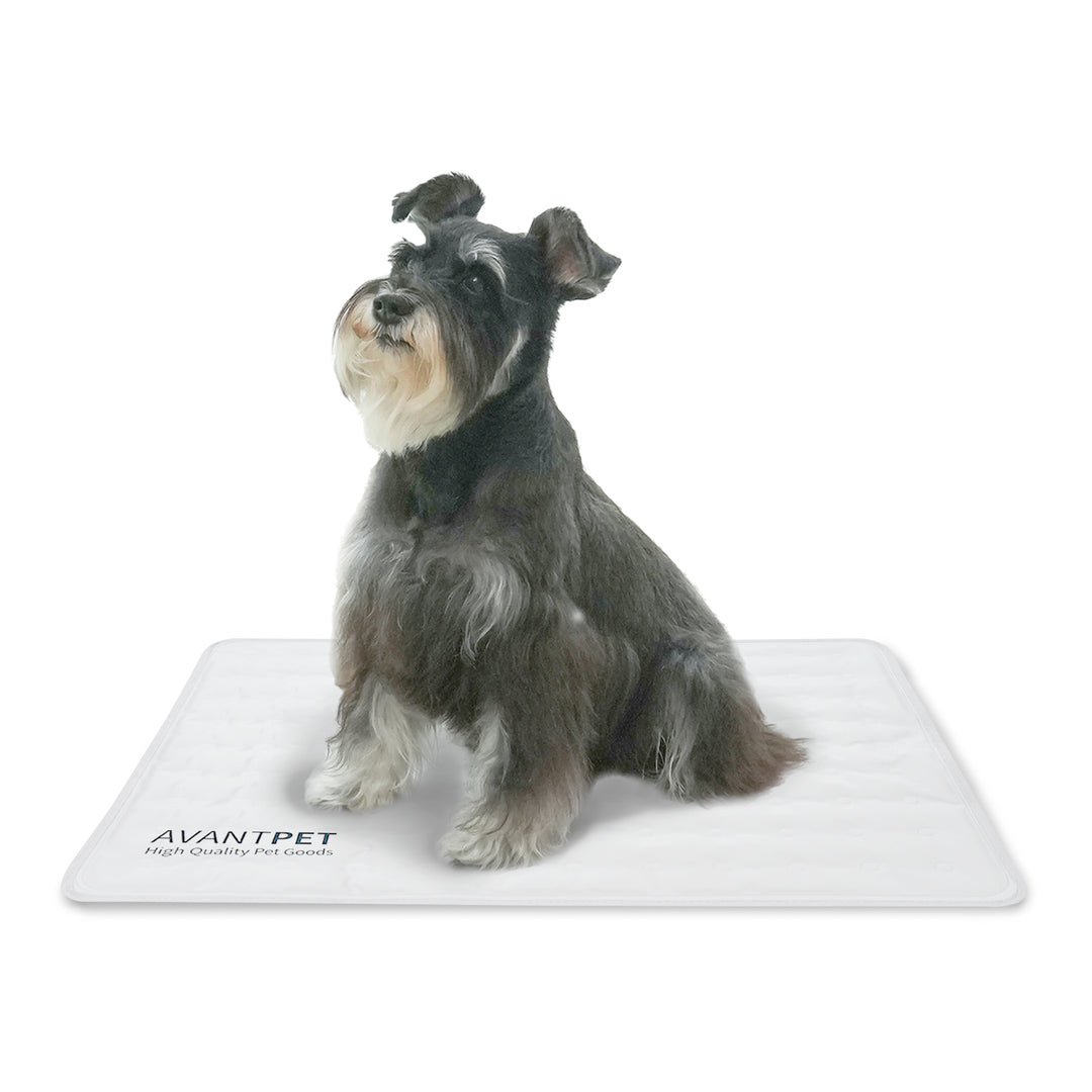 Avantpet Cooling Mat - Medium