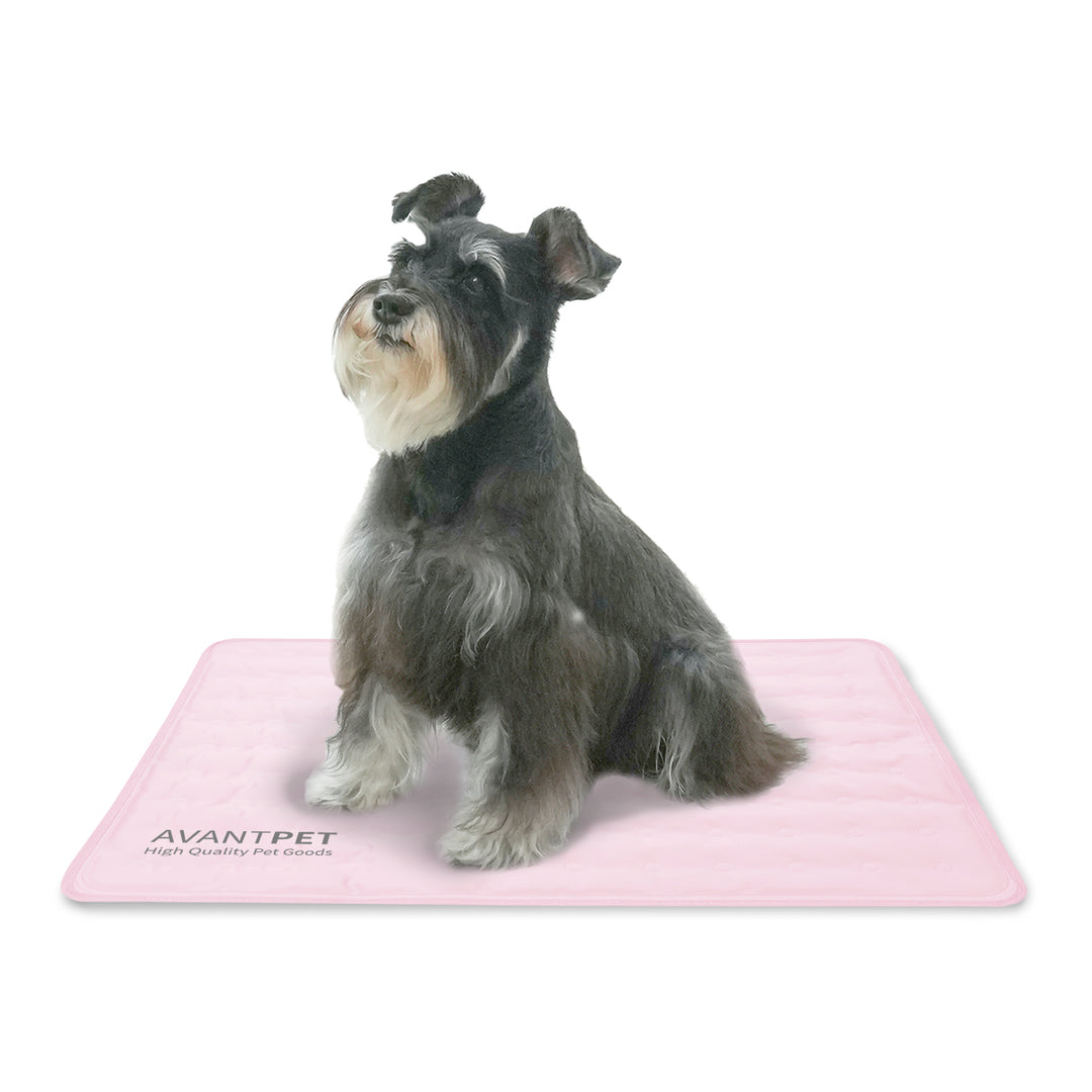 Avantpet Cooling Mat - Medium